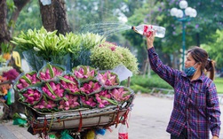 "Ông ngốn nhiều hoa sen lắm đấy nhé!"