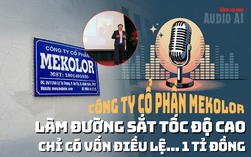 Audio AI: Nguồn gốc "vốn tự có" 100 tỉ USD của liên minh đề xuất làm đường sắt cao tốc Bắc - Nam