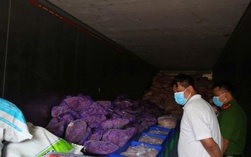 Giật mình hình ảnh hơn 11 tấn chân gà, thịt heo đông lạnh không rõ nguồn gốc