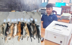 Bị truy đuổi, kẻ trộm chó chui vào nhà vệ sinh để trốn