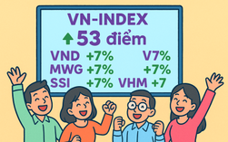Chứng khoán lao dốc rồi bật tăng 53 điểm, giới đầu tư lại háo hức tìm mua cổ phiếu