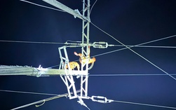 Hà Tĩnh: Tổng lực khắc phục điện lưới do bão số 5 gây ra