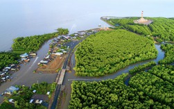 Hơn 216 tỉ đồng nâng cấp hạ tầng số cho cơ quan ở Cà Mau