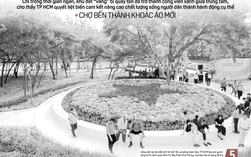 Báo in ngày 27-1:  Nỗi niềm "bạn uống tôi lái"