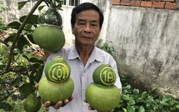 Thị trường Tết không còn mặn mà với trái cây "độc, lạ"?