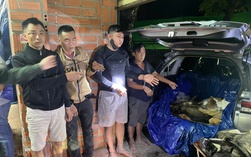 Đột kích "công xưởng" giết mổ chó trộm ở Tây Ninh, bắt giữ nhiều đối tượng