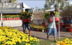 Hoa Tết giá mềm, hút khách