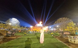 Cận cảnh những “tuyệt tác bạc tỉ” hội tụ tại thủ phủ mai vàng miền Trung