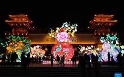 Thế giới tưng bừng đón giao thừa Tết Bính Ngọ 