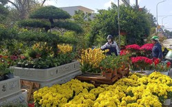 VIDEO: Làng hoa rực rỡ sắc xuân trong những ngày giáp Tết Nguyên đán