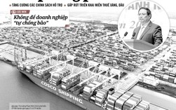 Báo in ngày 28-3: Danh tính số: Siết chặt để bảo vệ