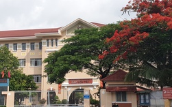 NÓNG: Nhiều trường học TPHCM cảnh báo khẩn lừa đảo suất "bao đậu", "tuyển thẳng" mùa tuyển sinh