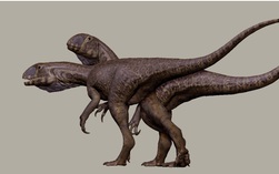 Quái vật 201 triệu tuổi "trỗi dậy" từ mỏ đá ở Mỹ