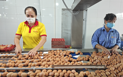 Từ vụ trứng Ba Huân nợ bảo hiểm xã hội kéo dài: Thấy gì từ những "thương hiệu quốc dân"?