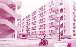 Báo in ngày 24-5: Đắng chát những cuộc tình xuyên biên giới