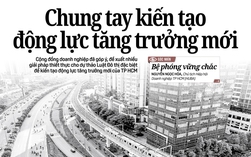 Báo in ngày 28-5: Chấp nhận trái ngành, miễn làm được việc