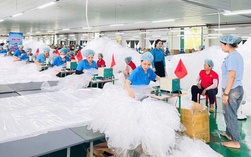 Hơn 100 công nhân ngành điện tử Đà Nẵng tranh tài tại hội thi tay nghề