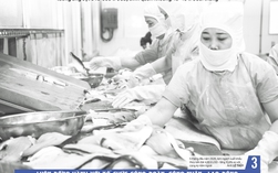 Báo in ngày 8-6: Tổ chức kỳ thi tốt nghiệp THPT an toàn, nghiêm túc