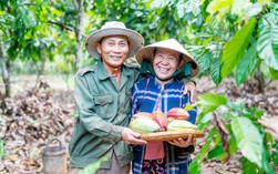 Ca cao Việt chinh phục thị trường quốc tế
