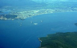 Thả 400.000 tôm sú xuống vịnh Nha Trang