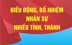 Nhân sự trong tuần: Điều động, bổ nhiệm cán bộ nhiều địa phương, bộ, ngành