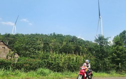 Ủy ban Kiểm tra Trung ương yêu cầu Đắk Nông cung cấp hồ sơ dự án điện gió, vì sao?