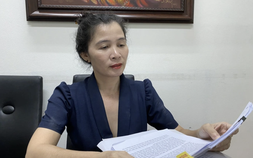Đoàn Luật sư TP HCM xóa tên bà Đặng Thị Hàn Ni