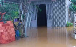 Vụ thủy điện xả lũ gây ngập, Đồng Nai yêu cầu khẩn trương hỗ trợ thiệt hại cho hàng trăm hộ dân