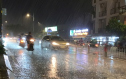 TP HCM mưa lớn kèm gió giật rất mạnh, có nơi cúp điện