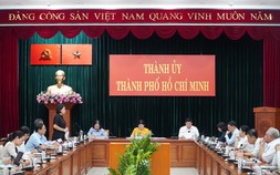 Thành ủy TP HCM lập 10 Tổ công tác quan trọng