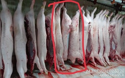 Vụ tố cửa hàng C.P. Việt Nam: Ông L.Q.N lại tung thêm bằng chứng?