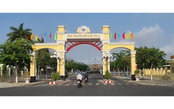 Bí thư huyện lên tiếng về thông tin "nợ tiền cây kiểng, bị chủ đào mang về"