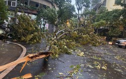 Mưa to, gió lớn ở Hà Nội và nhiều địa phương phía Bắc có phải do ảnh hưởng bão số 3?