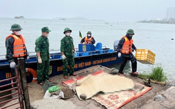 Phát hiện thi thể nam giới trôi dạt cách vị trí tàu du lịch bị lật ở vịnh Hạ Long khoảng 500 m