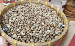Giá cà phê hôm nay 29-7: Bùng nổ