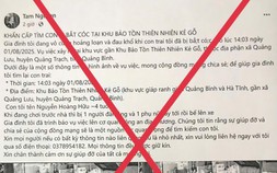 Sự thật vụ "bắt cóc trẻ em" ở Kẻ Gỗ gây bão mạng xã hội