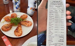 Mạng xã hội tranh luận về dĩa tôm 300.000 đồng ở Phú Quốc dịp Tết