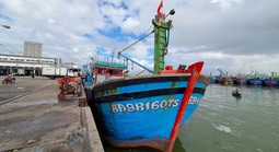 Di dời toàn bộ tàu cá neo đậu tại biển Quy Nhơn để phát triển du lịch