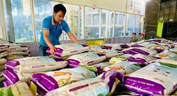 Xuất khẩu gạo tiếp tục sôi động