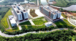 Bắt đầu sáp nhập các trường công lập