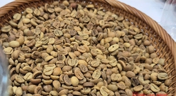 Giá cà phê hôm nay 18-10: Robusta hạ nhiệt