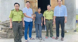 Vị "khách lạ" bò vào nhà khiến gia chủ giật mình, hóa ra là loài quý hiếm