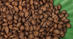 Giá cà phê hôm nay 31-10: Tăng tiếp và cách giữ vị thế số 1 cho cà phê