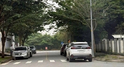 TP HCM: Xử phạt một phụ nữ đỗ ô tô trên vạch kẻ đường dành cho người đi bộ