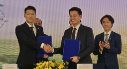 Trưng bày 1.000 cây trà trên 100 tuổi tại Lễ hội Trà Quốc tế 2025