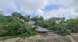 Đang cưỡng chế thu hồi hơn 66.000 m² đất lấn chiếm tại Đồi Cát Bay Mũi Né