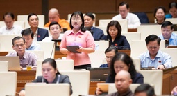 Giải pháp tăng sinh, chăm lo người già