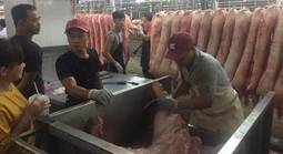 Giá heo cuối năm khó tăng đột biến