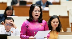 Đề nghị hỗ trợ viên chức khi mất việc do sắp xếp