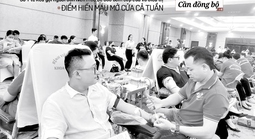 Báo in ngày 15-11: Báo động - kho máu y tế TP HCM đang cạn